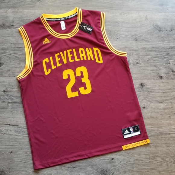 lebron james adidas swingman jersey